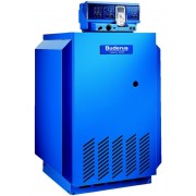 Котел чугунный напольный Buderus Logano G 234 WS - 55 (одноконтурный, атмо)